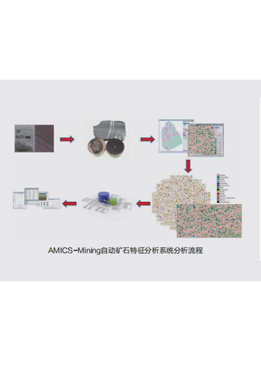 AMICS-Mining矿物特征自动定量分析系统